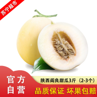 [嘉琪]陕西阎良甜瓜 蜜瓜 新鲜水果 香瓜哈密瓜非羊角蜜网纹瓜 3斤 2-3个