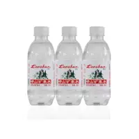 崂山小瓶矿泉水330mI*24瓶