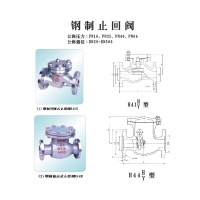 安徽求精止回阀 H44H-25 DN200