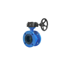 远大阀门蝶阀 D341X-10Q DN300