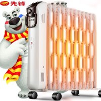 先锋(Singfun) 电暖器 DYT-SS2 13片热浪取暖器 节能省电 干衣加湿