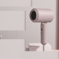 Lowrarouge罗拉 CL-202 负离子吹风(单位:台)