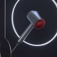 Lowrarouge罗拉 CL-301 负离子吹风(单位:台)