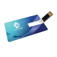 16卡片U盘 DX1384 办公迷你优盘85×52MM (个)