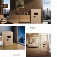 保险柜400.330.450