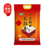 十月稻田 长粒香大米 东北大米 东北香米 10kg 当季新米 十公斤