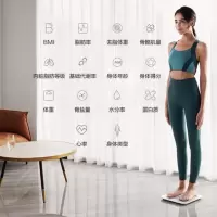 华为智能体脂秤 3 电子秤体重秤家用 雅致白 单个装