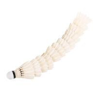 兰威场馆比赛羽毛球0170