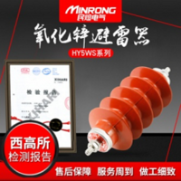 民熔 高压避雷器 10KV