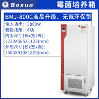 博迅 霉菌培养箱 BMJ-800C(单位:台)
