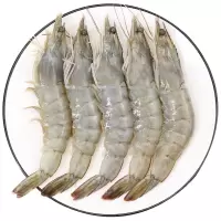 特级新鲜活基围虾500g