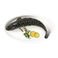 野生黑鱼500g