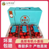 [五个农民]甘孜高原绿色有机小番茄3斤礼盒装超甜圣女果千禧果应季水果