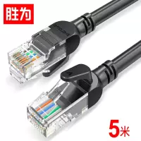 胜为 超五类网线 百兆阻燃网络连接线 成品跳线电脑宽带连接线10米WLC1010G