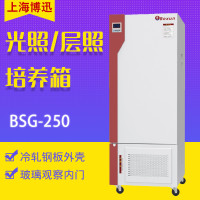 博迅 光照培养箱BSG-250 250升（单位：台）