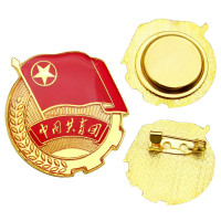 中国共青团团徽标准共青团磁铁扣学生用胸章标准型 小号别针10个装