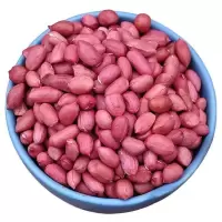 茶陵县农家自产红皮花生500g生花生米 FPCLX0008