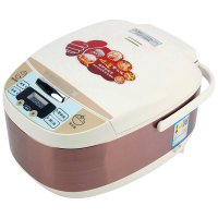 FW8901-5B万宝智能电饭煲(5L/900w福王电器)