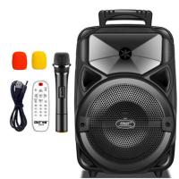 先科A57移动拉杆音响 8英寸 配1个话筒