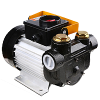 恒格尔 24V正反电动柴油抽油泵+6米管