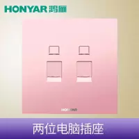 鸿雁 86型天际暗装开关插座面板 果粉金 两位电脑插座 单只装