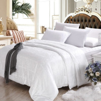 芳恩家纺 FN-B388 皇家经典纯桑蚕丝被 被重2600g 200*230cm nfh