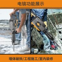 美国雷亚电镐LY95-01/1500W每台