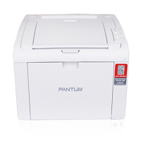 奔图激光打印机P2506W