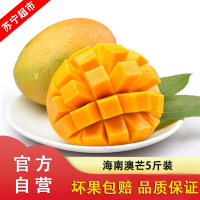 海南新鲜水果 澳洲芒果新鲜芒果 澳芒带箱5斤装(约5-6个)