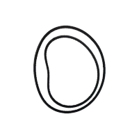 北汽勇士BJ2022压缩机皮带 原厂正品 超长质保