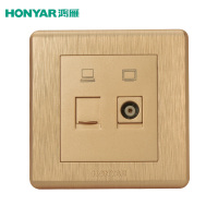 鸿雁 拉丝金 电视网络插座 单只装