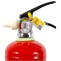 神龙灭火器水基型(水雾)环保灭火器车载家用及商用灭火器6L MSWZ/6