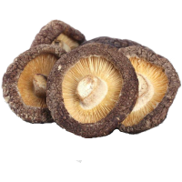 永顺县湘西农场香菇250g*2 FPYSX0030