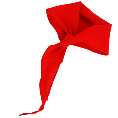 优必利 红领巾 小学生少先队员柔红领巾标准款 儿童学生用品 10条装 8350