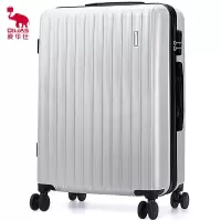 爱华仕(OIWAS)6600 24英寸拉杆箱 万向轮拉杆箱女学生防刮/冰河银 单位:个
