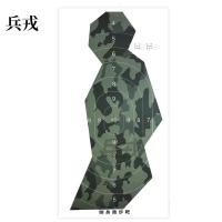 兵戎  靶纸训练用靶纸胸环靶半身靶纸物资射击打靶器材打靶用品 侧身跑步靶纸(环)100张