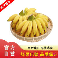 现摘香蕉西贡蕉 带箱10斤装 当季新鲜水果甜香蕉 精选香蕉 净9斤