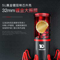 十盏灯麦克风/话筒P20P10大震膜网红声卡套装 专业录音棚话筒直播设备麦全套 P20+G6声卡套装