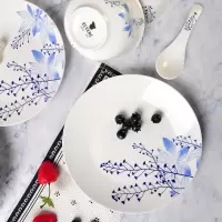 康宁Revere餐具12件套陶瓷青花瓷具碗盘子勺子汤勺调羹瓷器套装