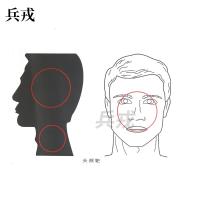 兵戎 靶纸 战用训练用靶纸胸环靶半身靶纸物资射击打靶器材打靶用品 头颈靶纸100张