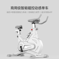英尔健 商用磁控动感单车家用静音运动器材室内脚踏自行车 磁控阻力-飞轮全包裹-商用品质 经典白