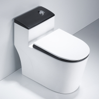 REMAX 座便器 坐便器 高定款 GLDJ508