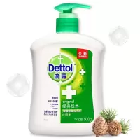 滴露Dettol滴露松木洗手液保湿按压式家用抑菌护手液500g*2瓶经典松木