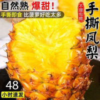 [西沛生鲜]海南手撕凤梨 带箱5斤装 2-3个装 当季热带水果 香甜可口 产地直发 西沛