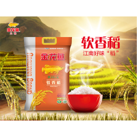 金龙鱼 苏北大米/南方米/软香稻大米 10kg