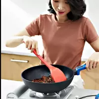 德世朗 蓝鲨炒锅
