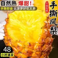 [西沛生鲜]海南手撕凤梨 带箱9斤装 4-6个装 当季热带水果香甜可口 产地直发 西沛