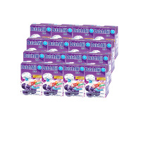 达美酸奶（蓝莓味）90ml*4