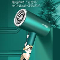 HYUNDAI猫森林冶愈系护理电吹风