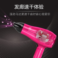 沙宣 电吹风VS289PCN(单位:个)